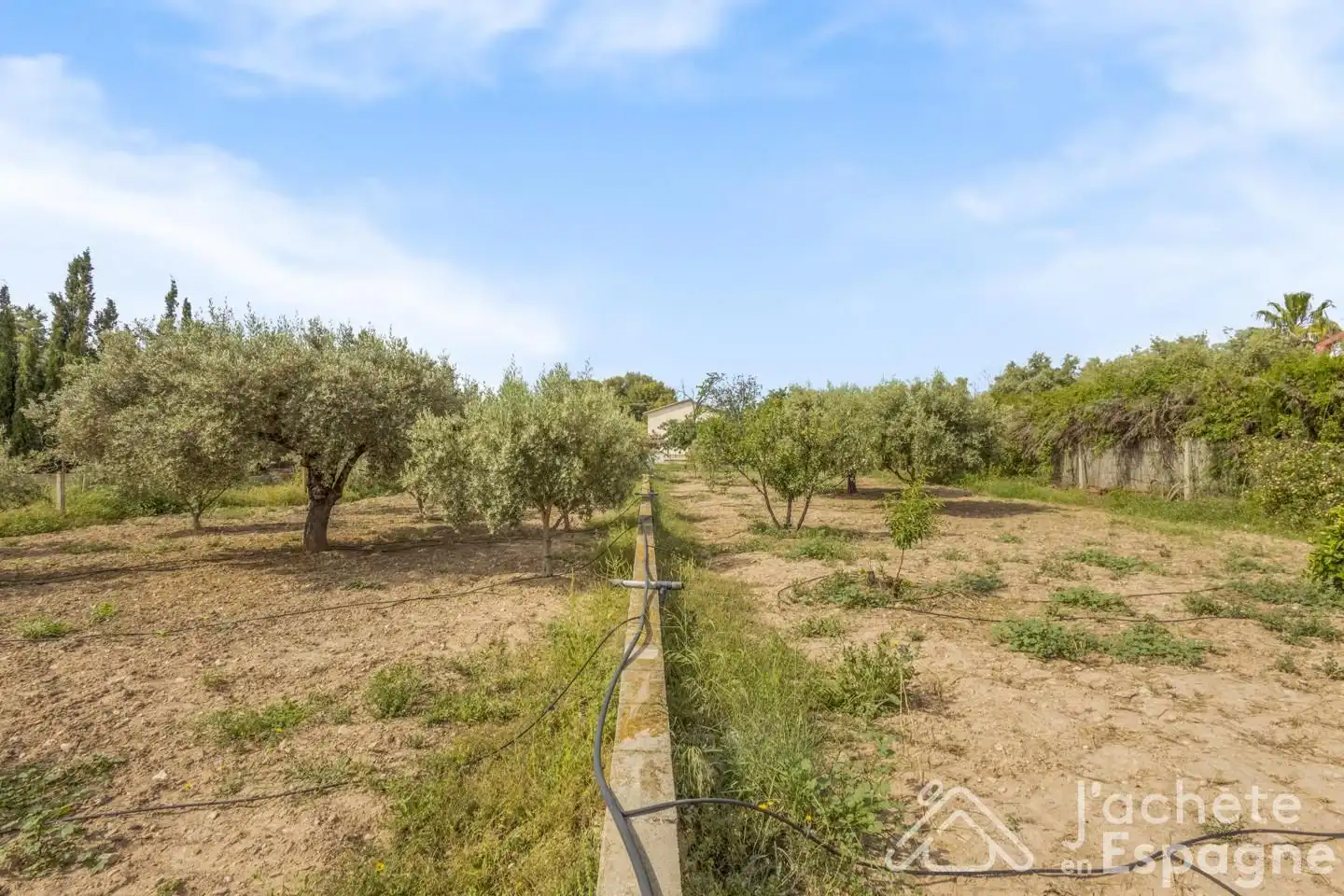 Houses for sale in San Vicente del Raspeig / Sant Vicent del Raspeig  with Private garden, Terrace and Swimming Pool