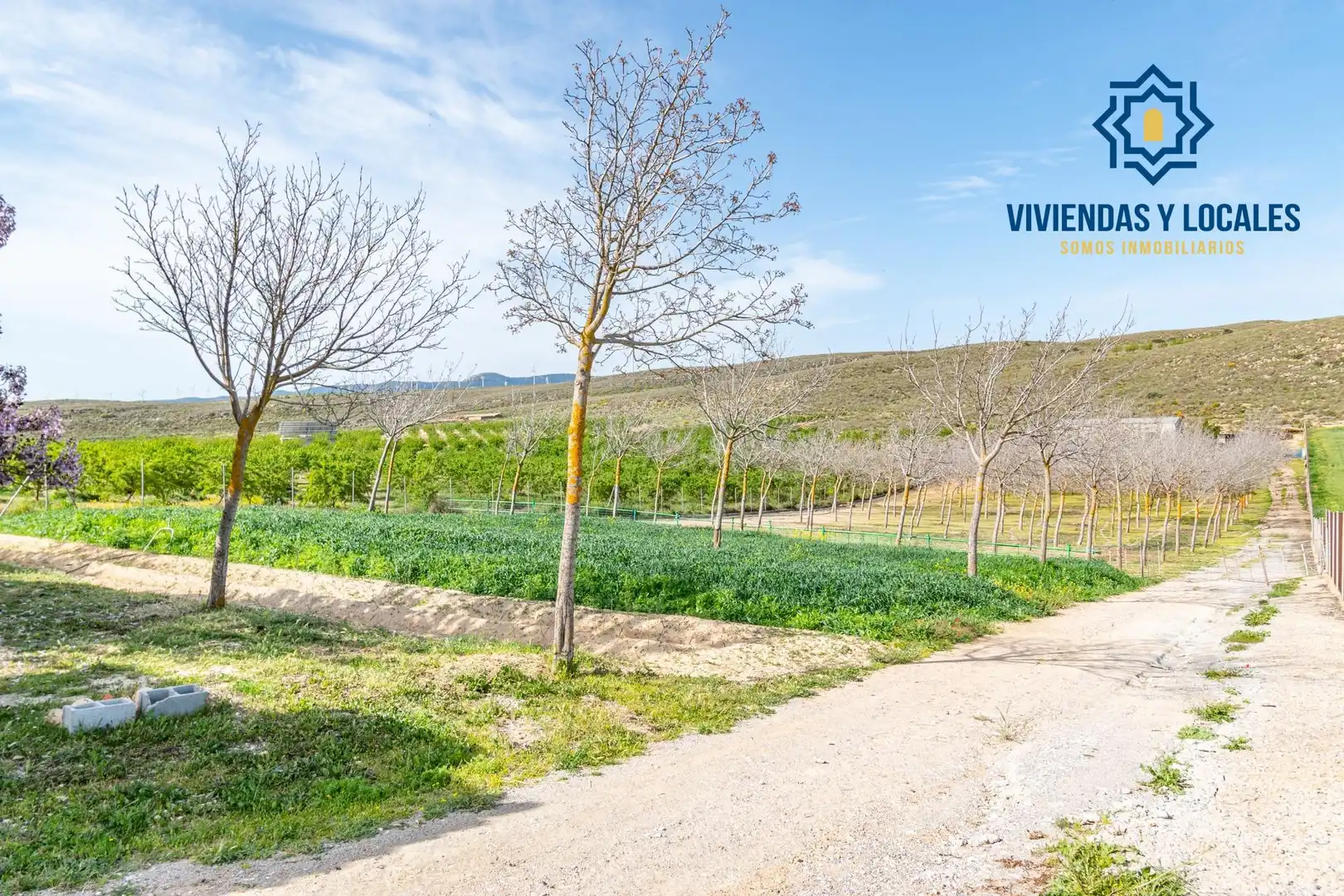 Terreni e lotti in vendita a Padul, imagen 34