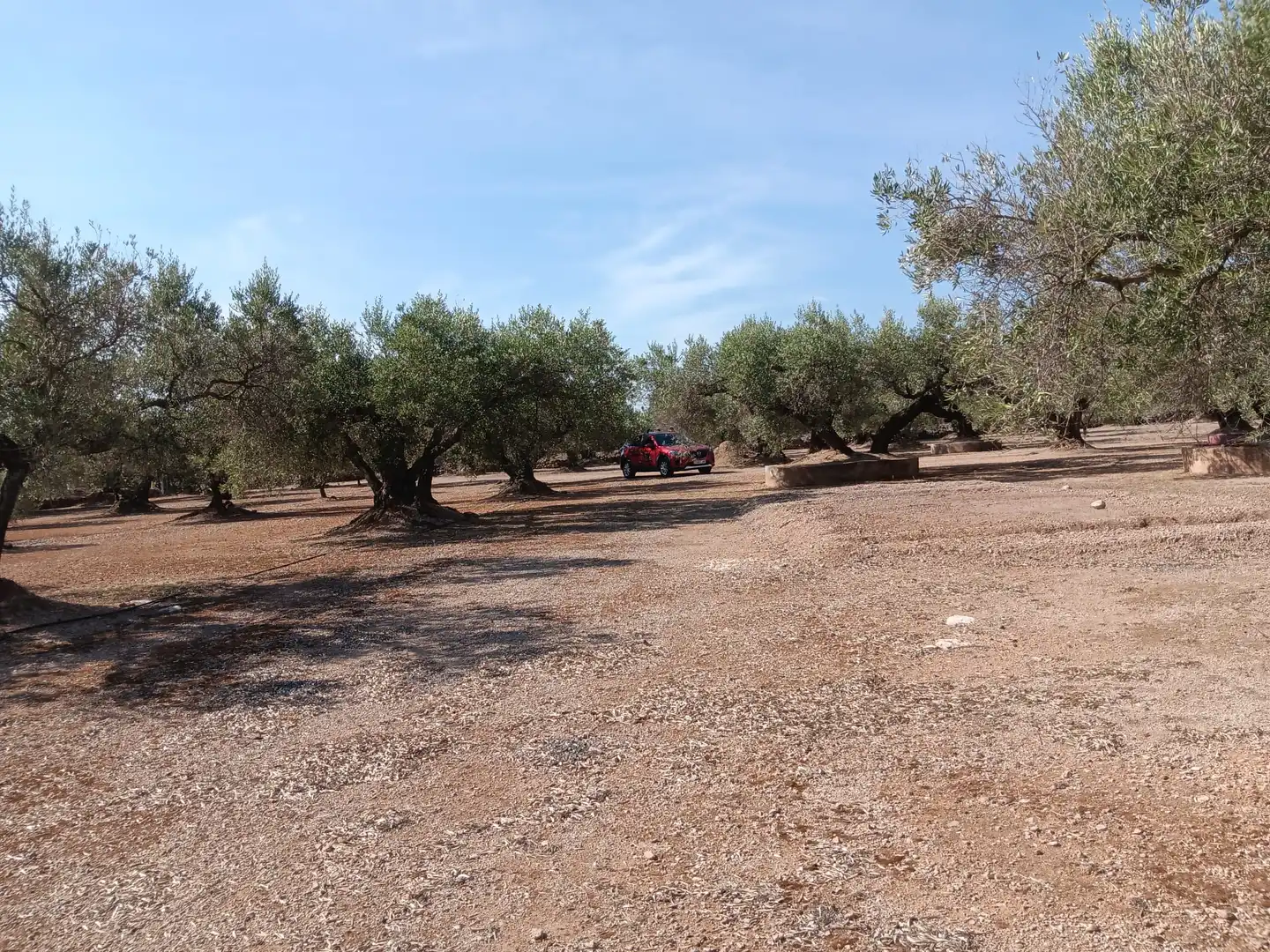 Lands and plots for sale in Roquetes, imagen 29
