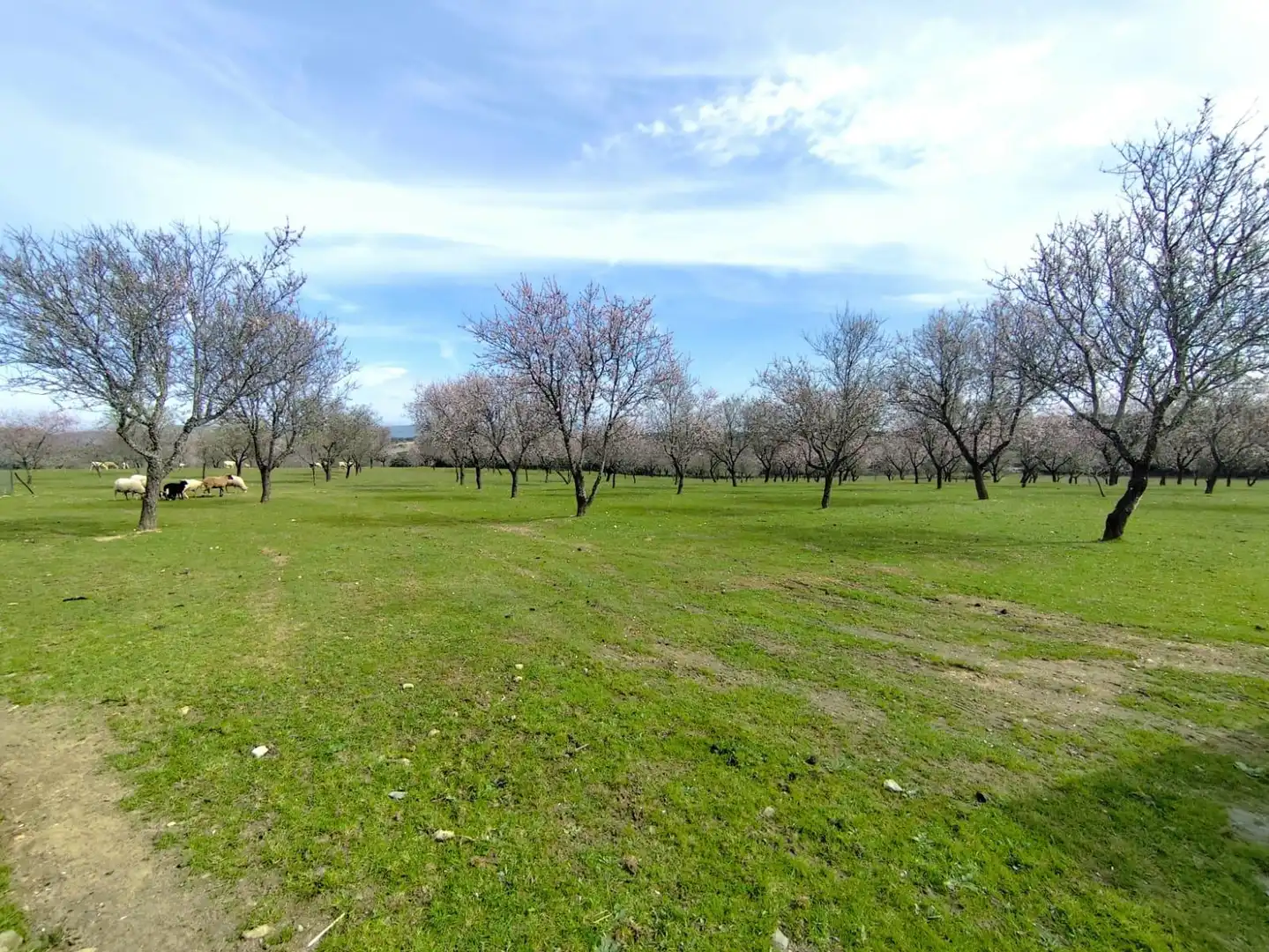Finca rústica en venta en Malpartida de Plasencia con Piscina