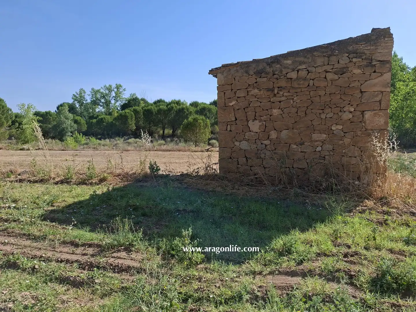 Finca rústica en venda en Mazaleón