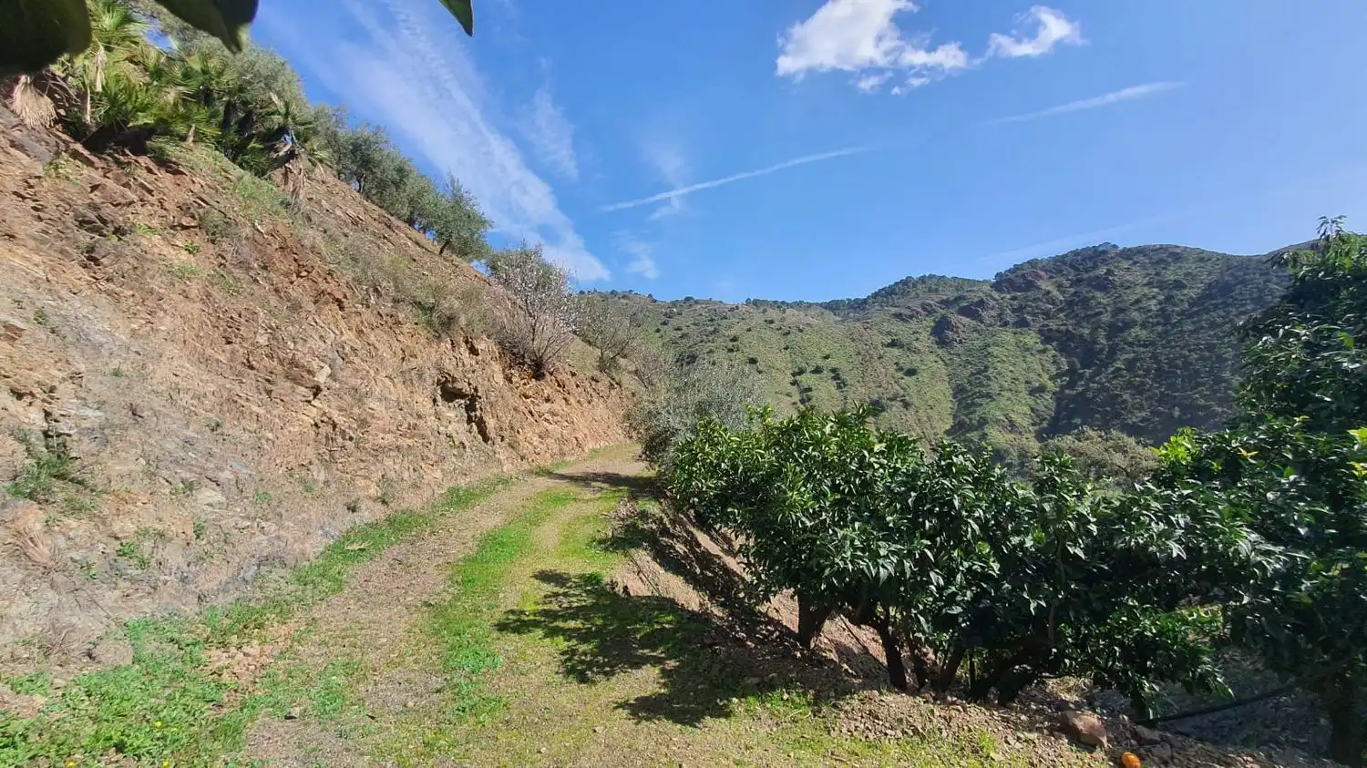 Residencial en venta en Monda