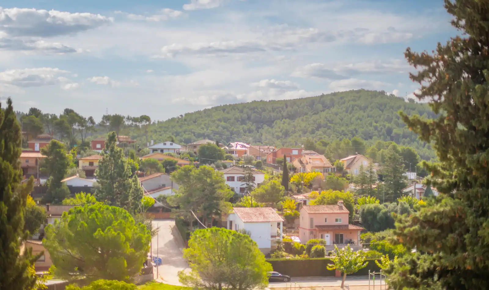 Local comercial en traspaso en Olesa de Bonesvalls, imagen 23
