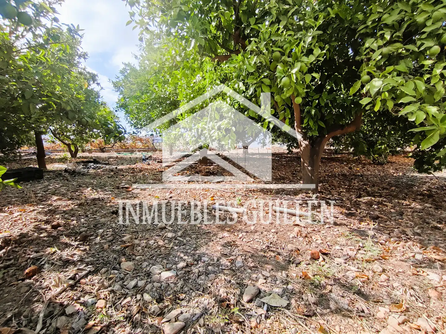 Casa o xalet en venda en Berja amb Aire condicionat, Jardí privat i Terrassa