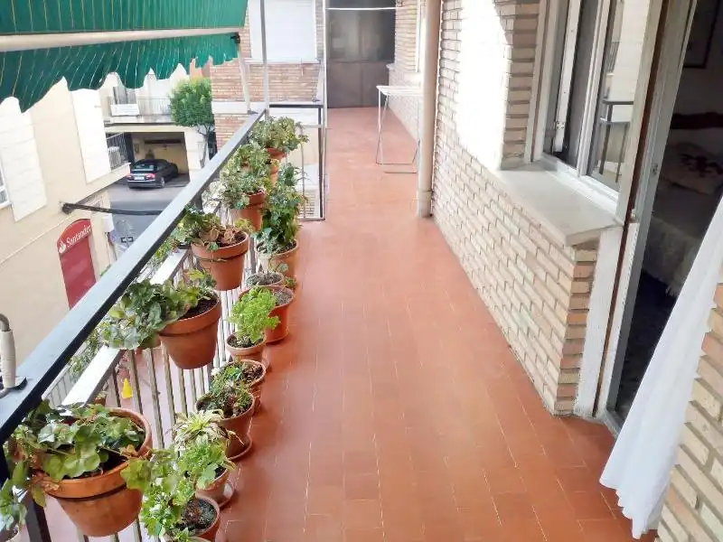 Pis amb jardí en venda a Centro Ciudad, imagen 6