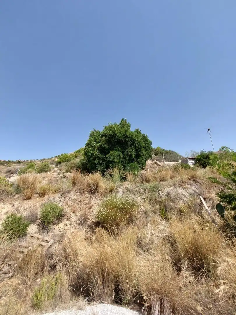Casa rústica con piscina en venta en Los Guájares, imagen 32