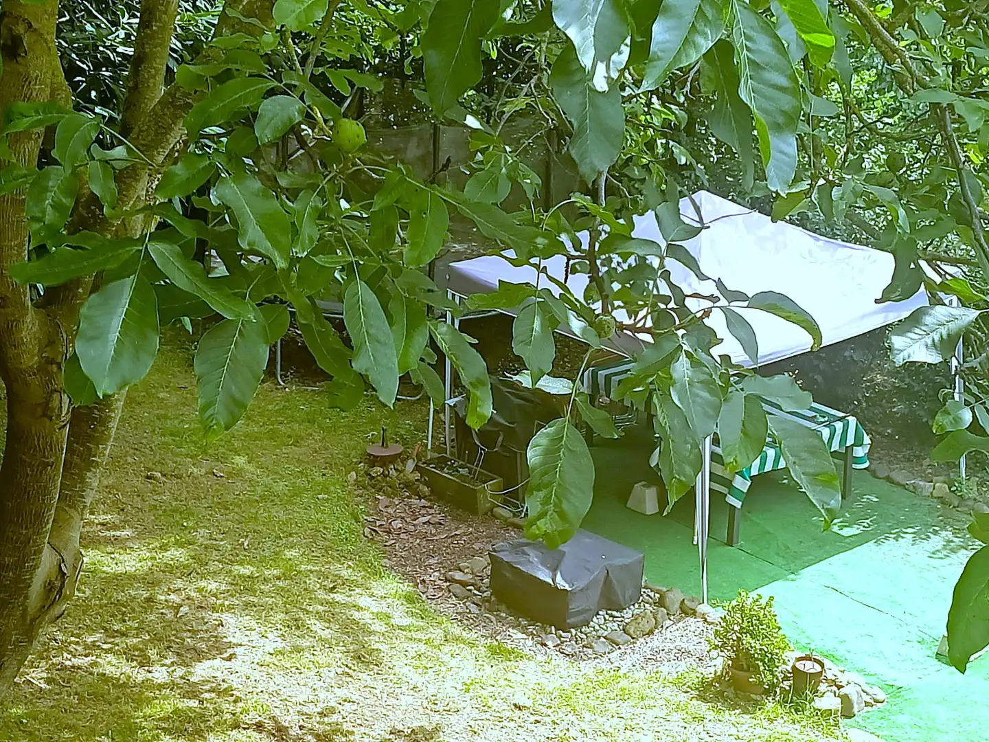 Maison avec jardin à vendre à Barrio Mioño, imagen 42