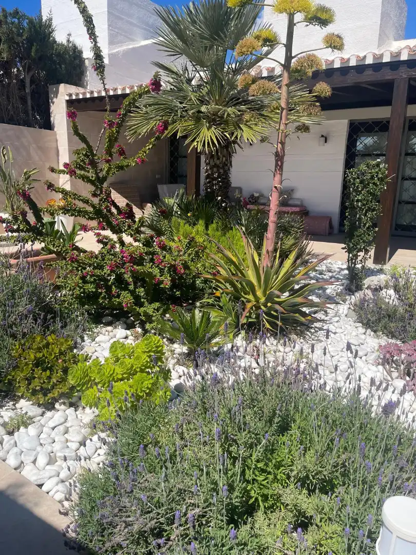 Jardín de Casa o chalet en venta en Murcia con Aire acondicionado, Calefacción y Jardín privado