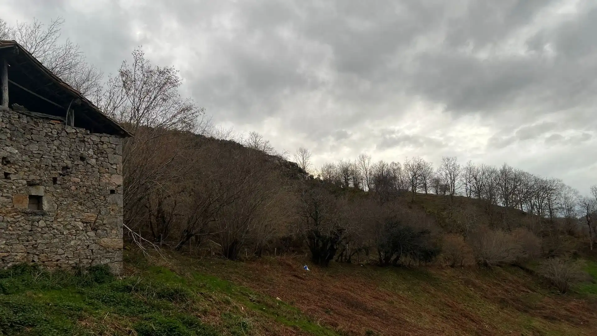 Terreno rustico in vendita a Cangas de Onís, imagen 25