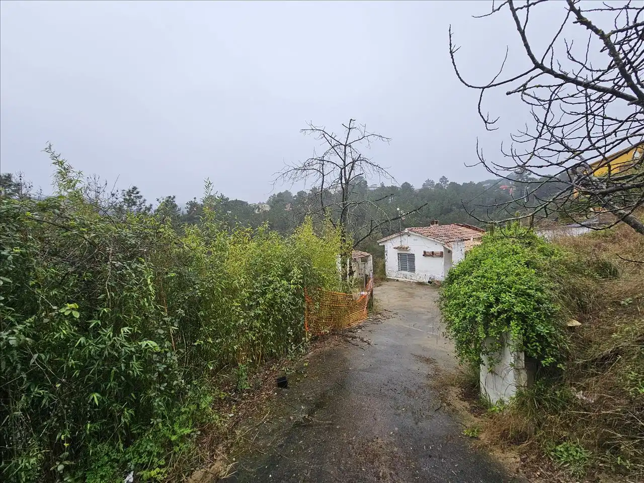 Casa o xalet en venda en Riudarenes