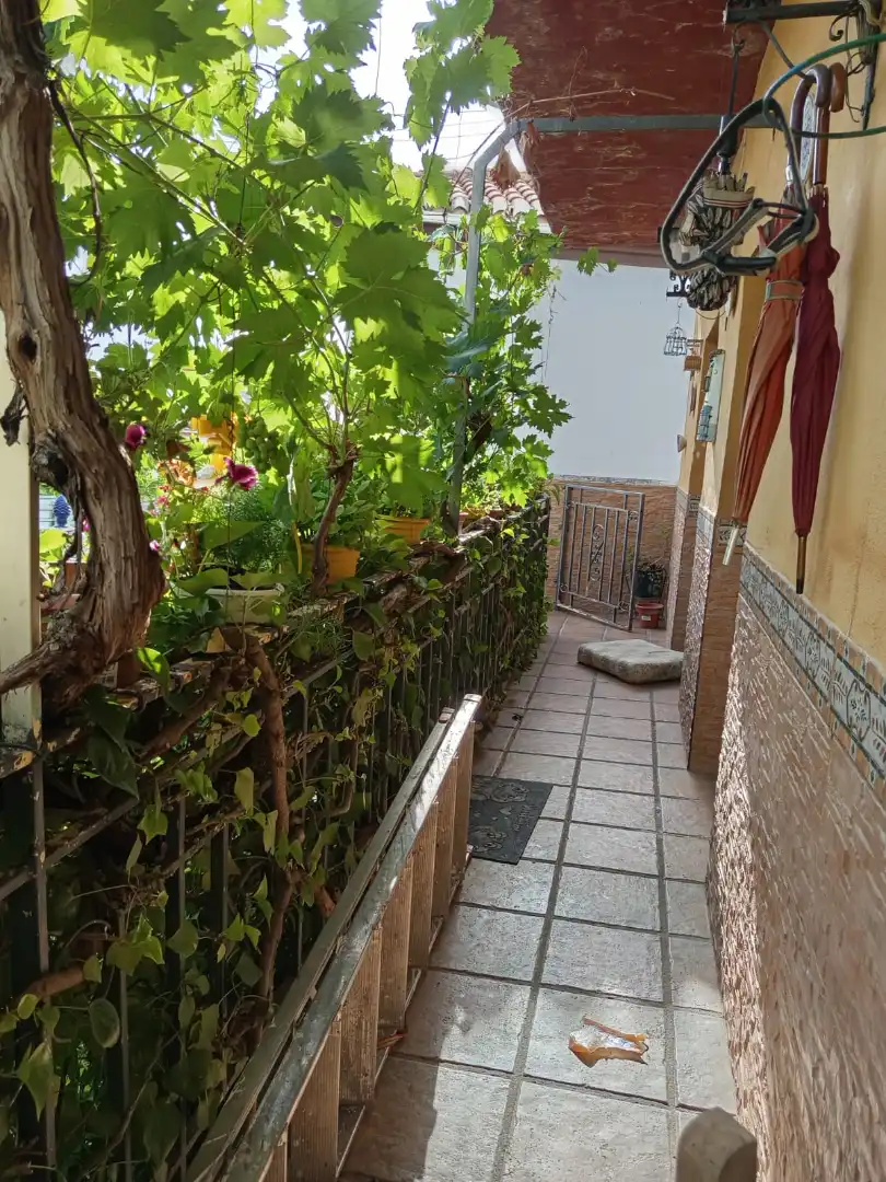 Jardí de Casa o xalet en venda en La Zubia amb Jardí privat i Piscina