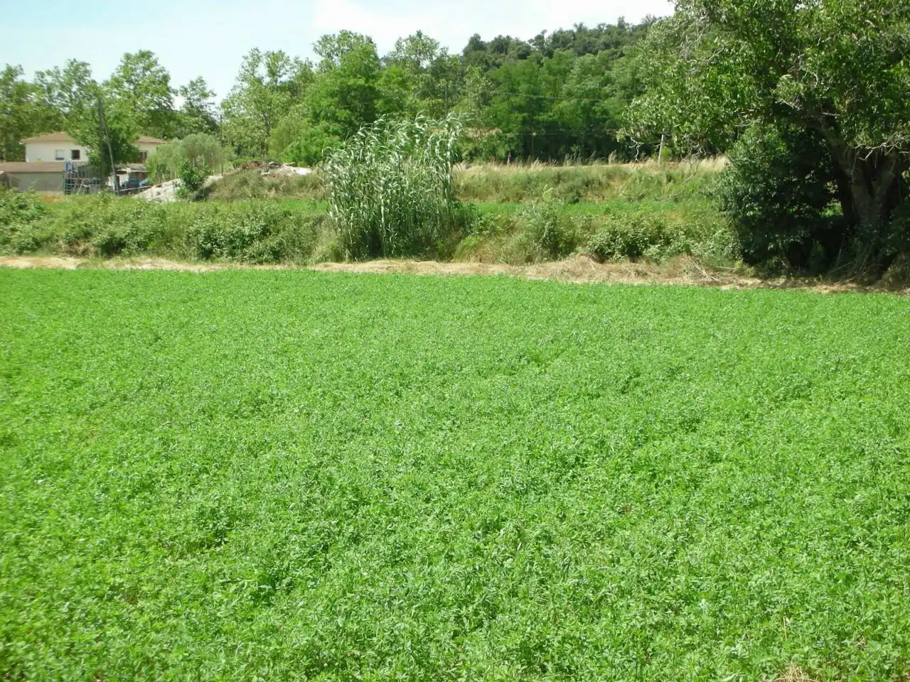 Land for sale in Vilanova del Vallès