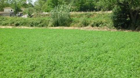 Terreno rústico NO EDIFICABLE sólo para uso exclusivamente agrícola, immagine 2