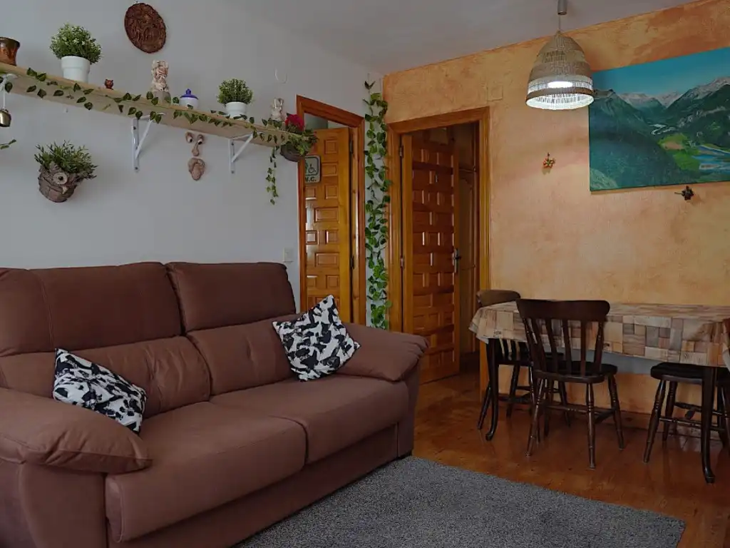 Sala d'estar de Apartament en venda en Bielsa