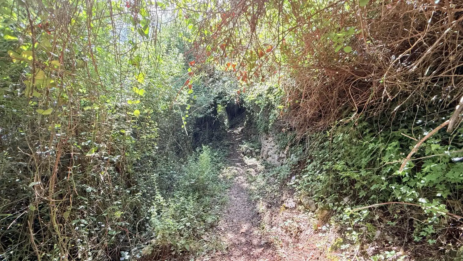 Finca rústica en venda en Santoña