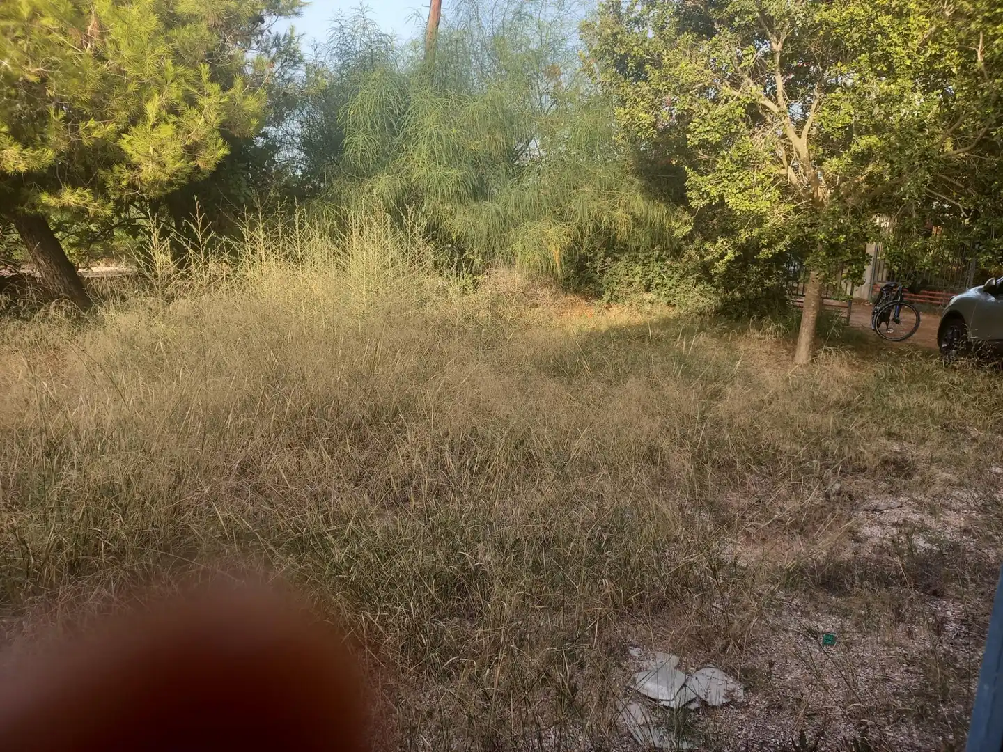 Casa o xalet en venda a La Foia - Daimés - Asprella