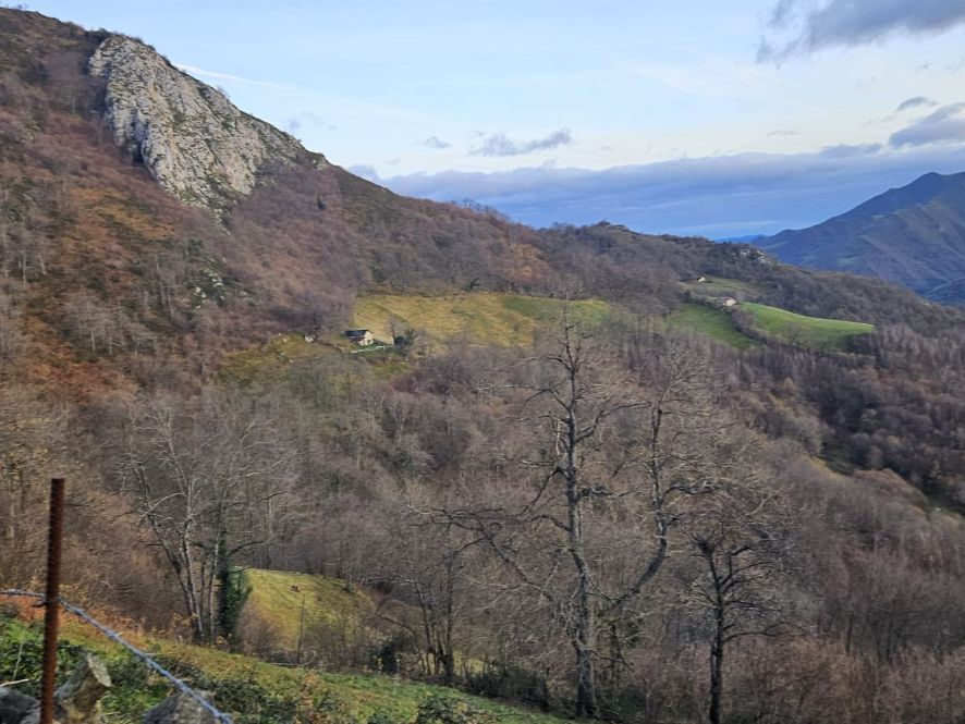 Vista exterior de Terreno en venta en Lena