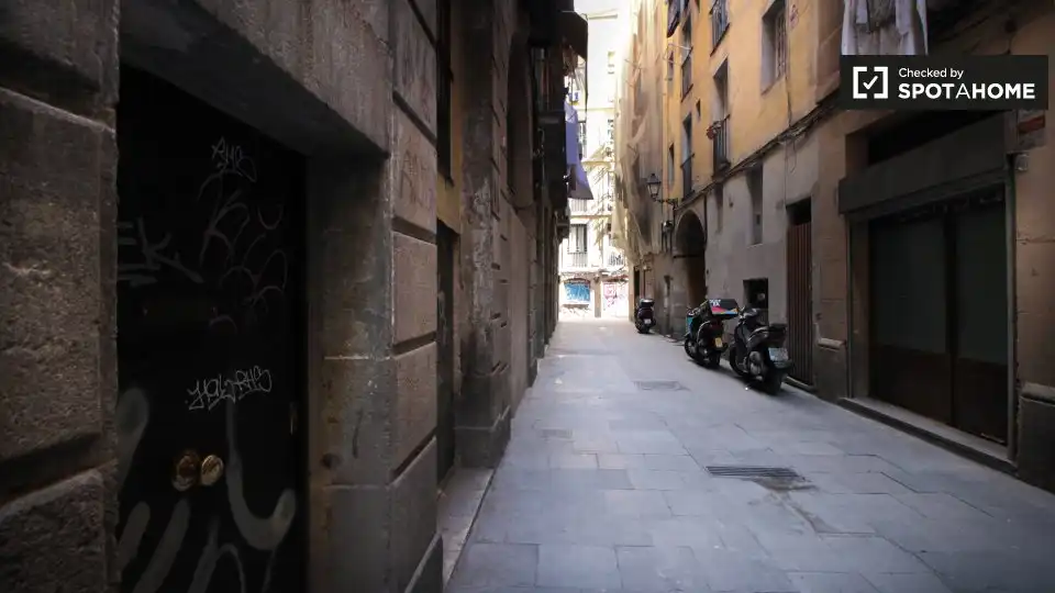 Flat with terrace to rent in Ciutat Vella, imagen 13