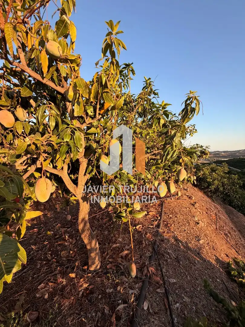 Country house for sale in Vélez-Málaga ciudad, imagen 11