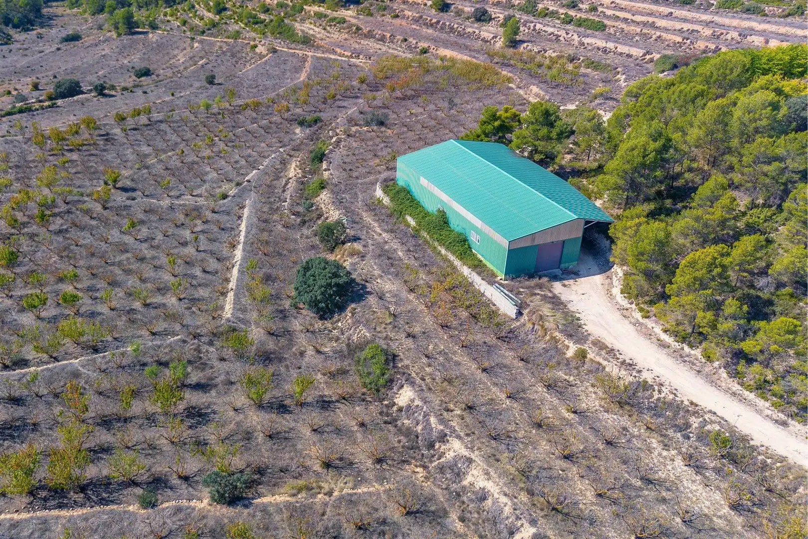 Casa o xalet en venda a Penàguila