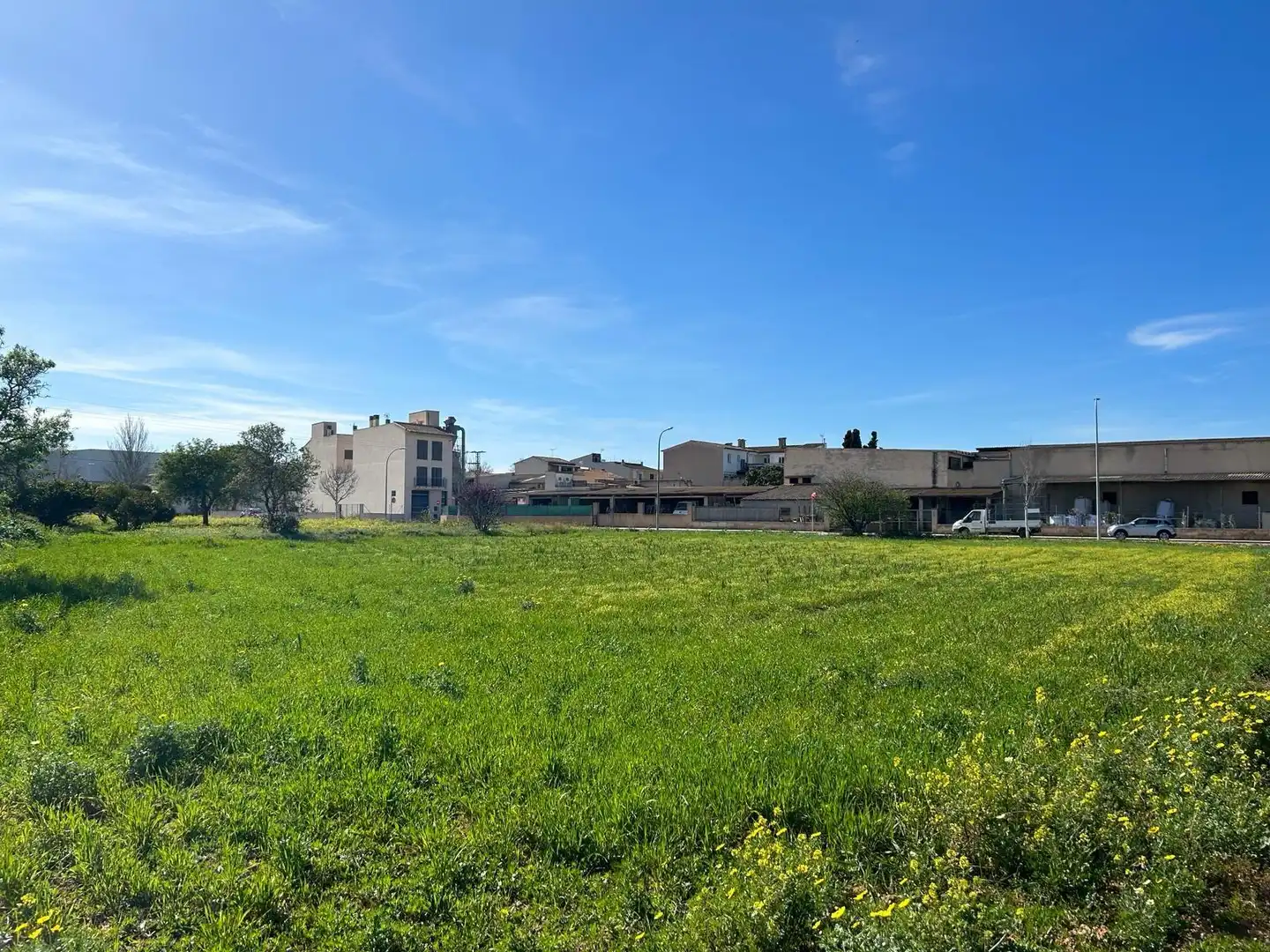 Terrenys i solars en venda a Porreres