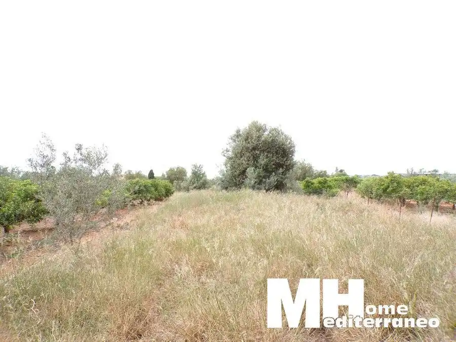 Finca rústica en venta en MAIMONA POLIGONO 27, 68, El Puig