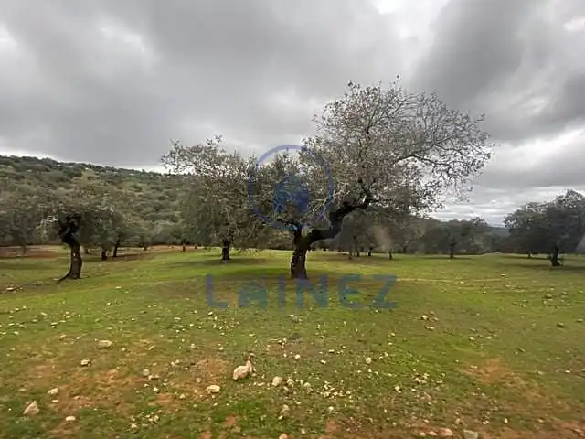 Residential land for sale in Fuente Obejuna, imagen 11