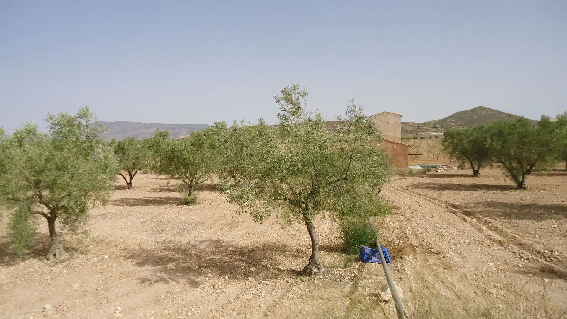Rustikales Grundstück zum Verkauf in Jumilla, imagen 13