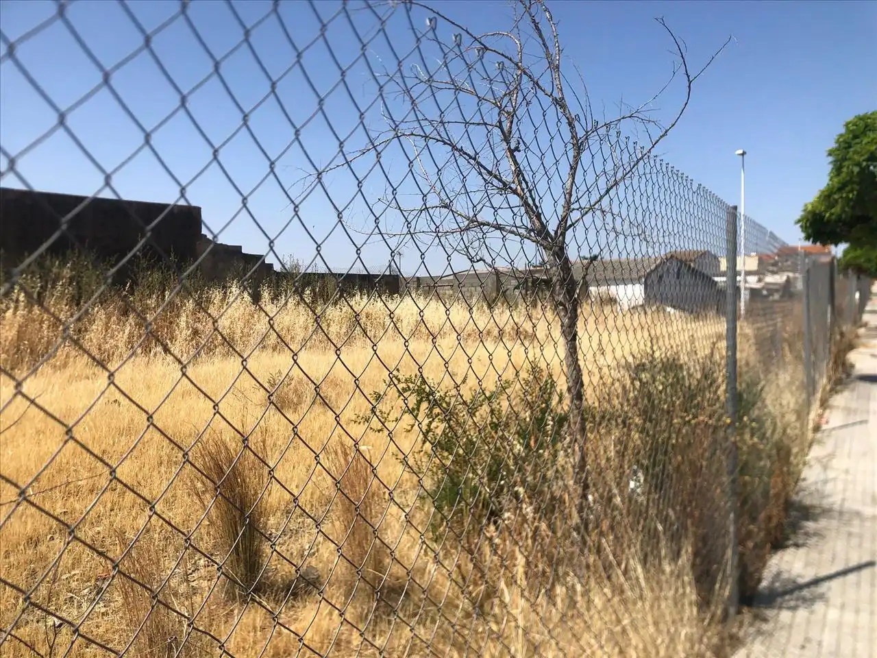 Terreni e lotti in vendita a Camino Viejo de Mirandilla, imagen 6