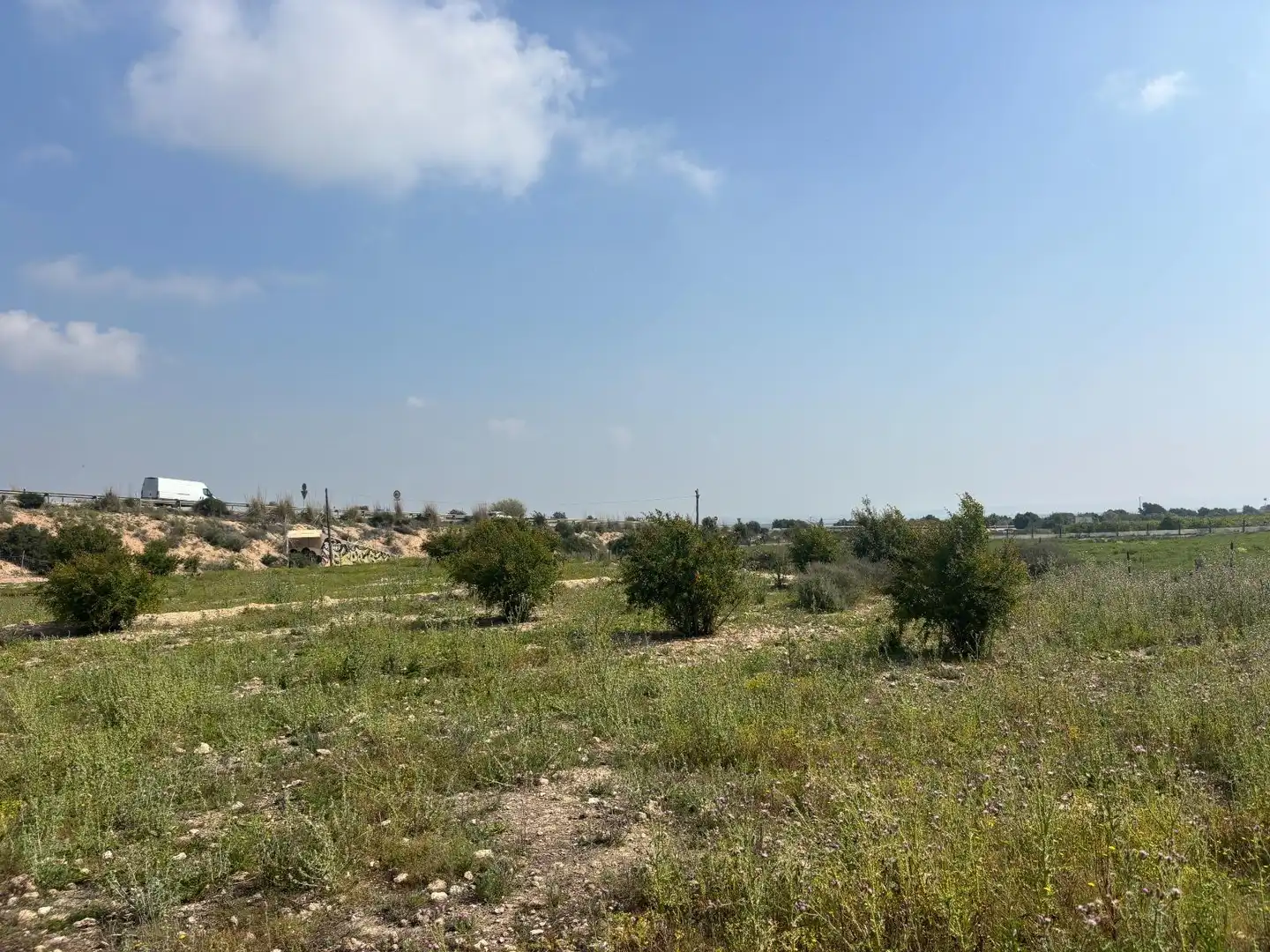 Terrain rustique à vendre à Elche ciudad