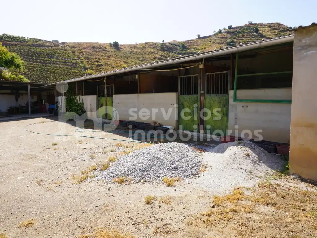 Finca rústica en venda a Diseminados Cortijo Lagar Del Rio (Diseminado), Centro Histórico