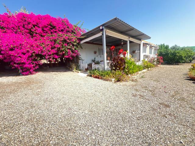 Casa-chalet en Venta en Casco Antiguo