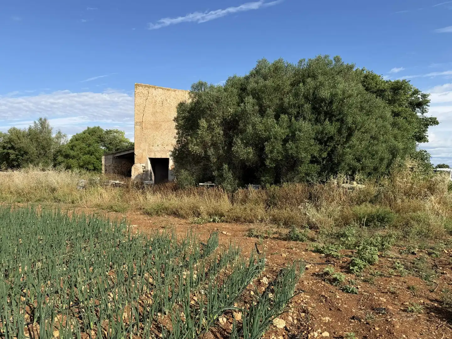 Exterior view of Country homes for sale in Manacor