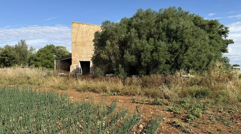 Photo 4 of Country homes for sale in Polígono Poligon 25, 1420, Manacor Centre, Manacor