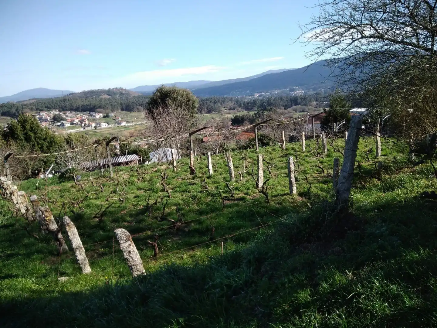 Finca rústica en venta en Barro con Jardín privado