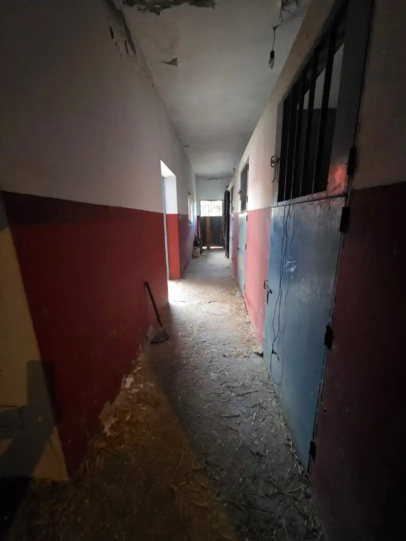 Finca rústica en venta en Algeciras con Jardín privado