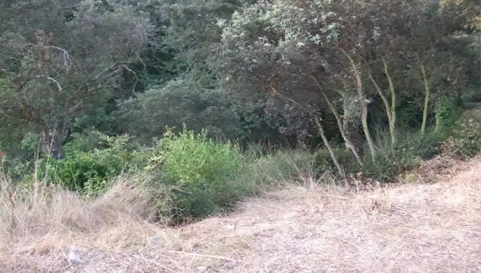 Rustikales Grundstück zum Verkauf in C/ Pío Baroja, imagen 6