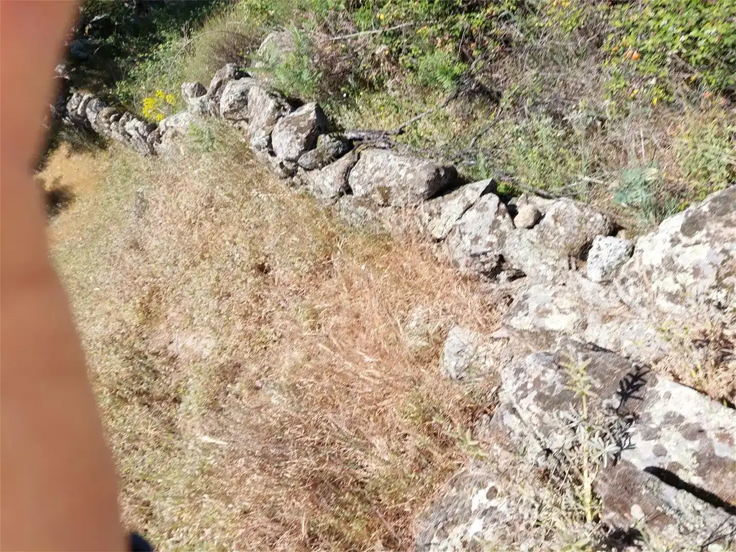 Finca rústica en venta en Mijares