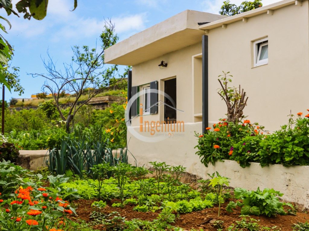 Garden of Residential for sale in La Orotava