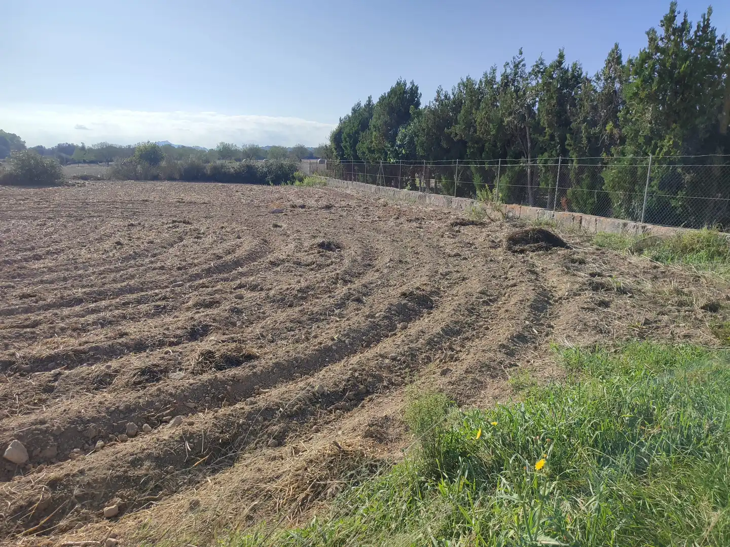 Finca rústica en venda a Sant Joan