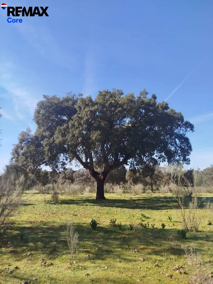 Exterior view of Land for sale in La Roca de la Sierra 