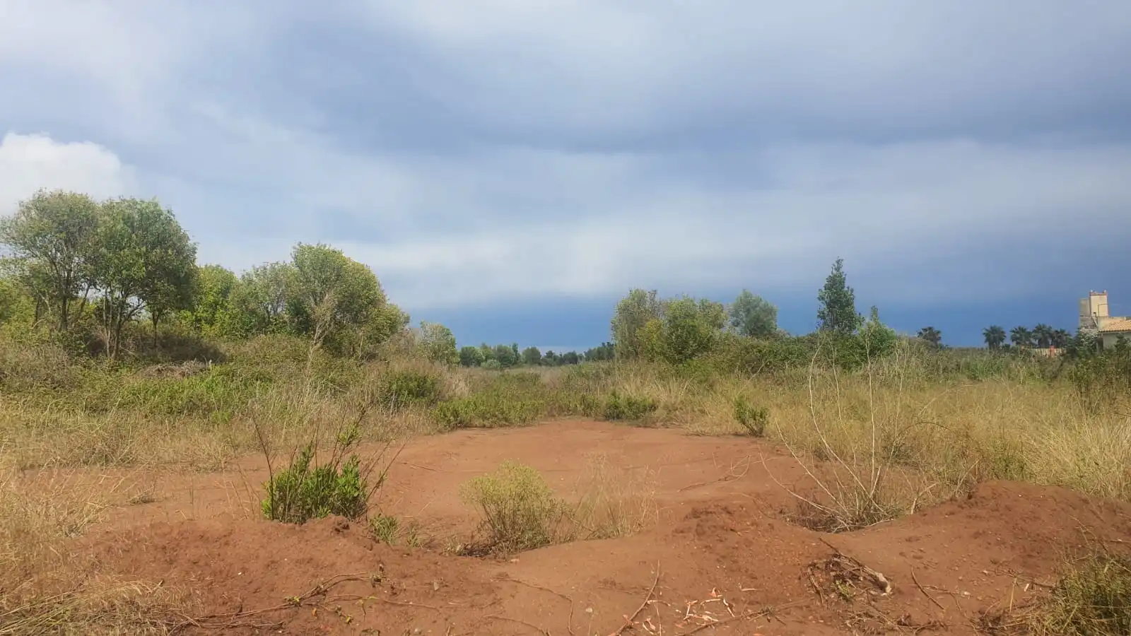 Terreno residencial en venta en Centro, imagen 10