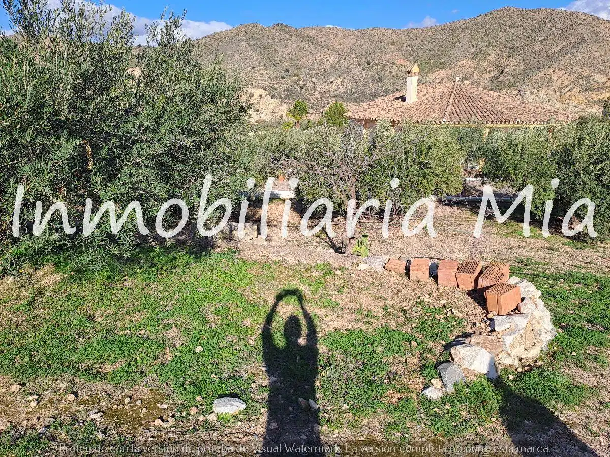 Casa amb jardí en venda a Arboleas, imagen 10