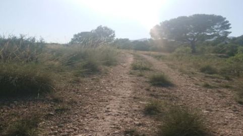 Foto 2 de Terreno en venta en Carretera la Parroquia, Zarcilla de Ramos, Lorca