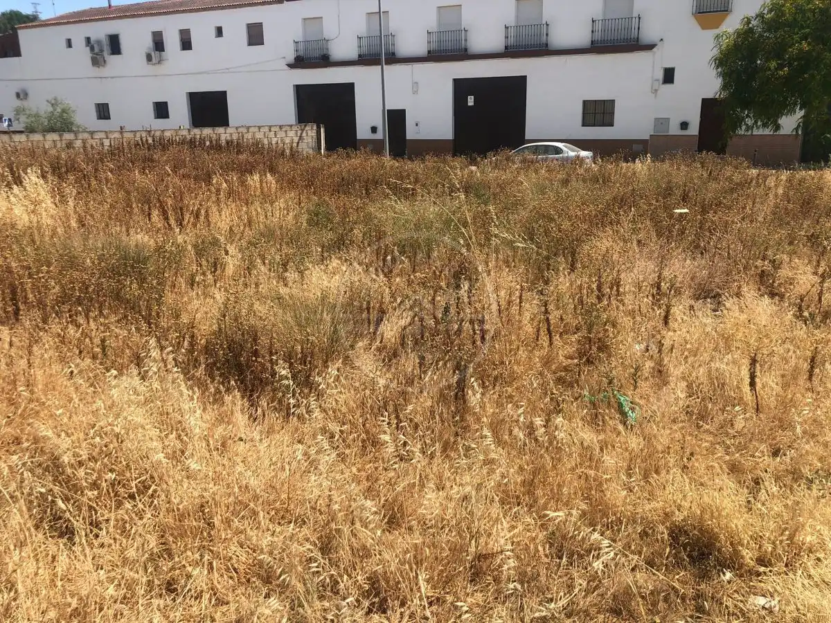 Terreno residenziale in vendita a Marchena, imagen 2