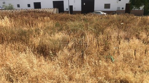 Parc.Urbana en venta en Marchena., immagine 2