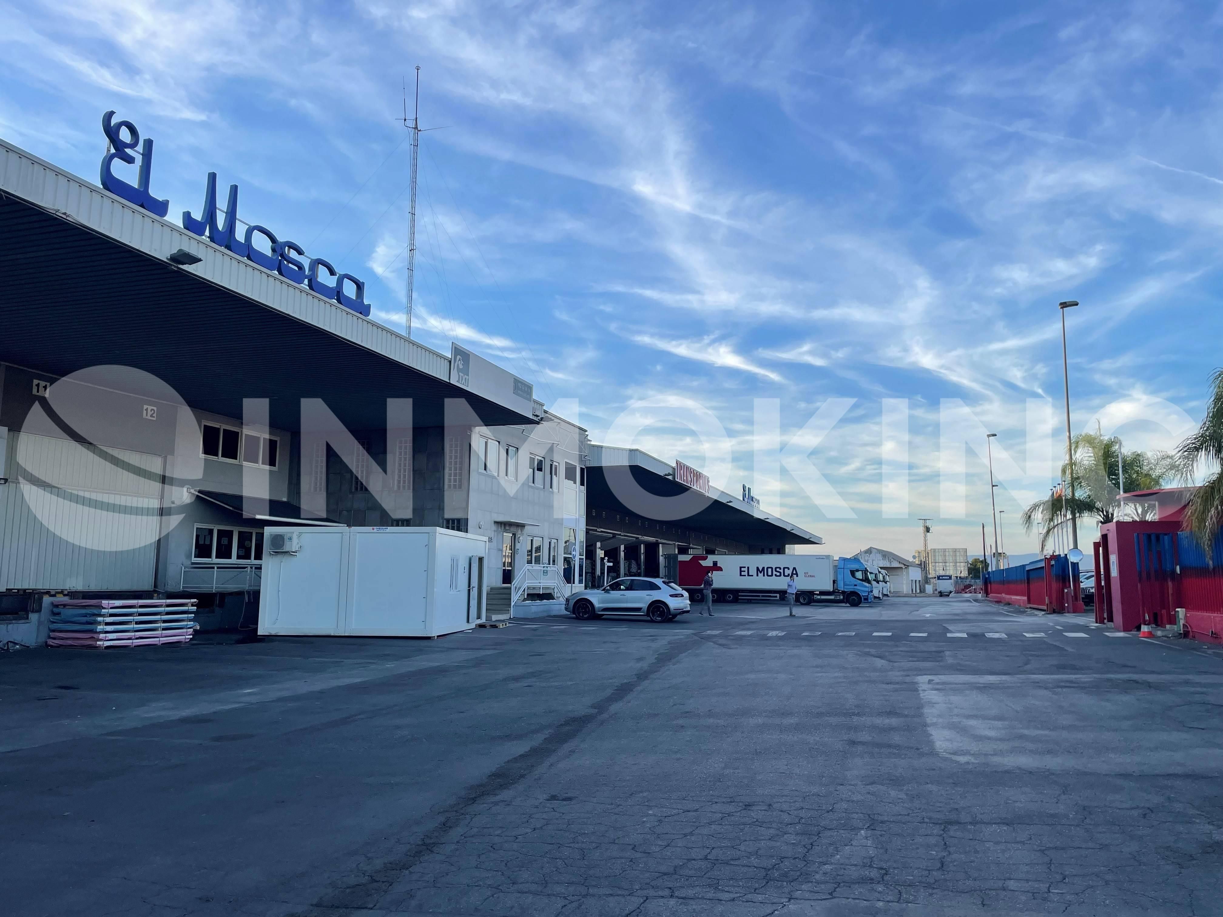 Parking of Industrial buildings to rent in Molina de Segura