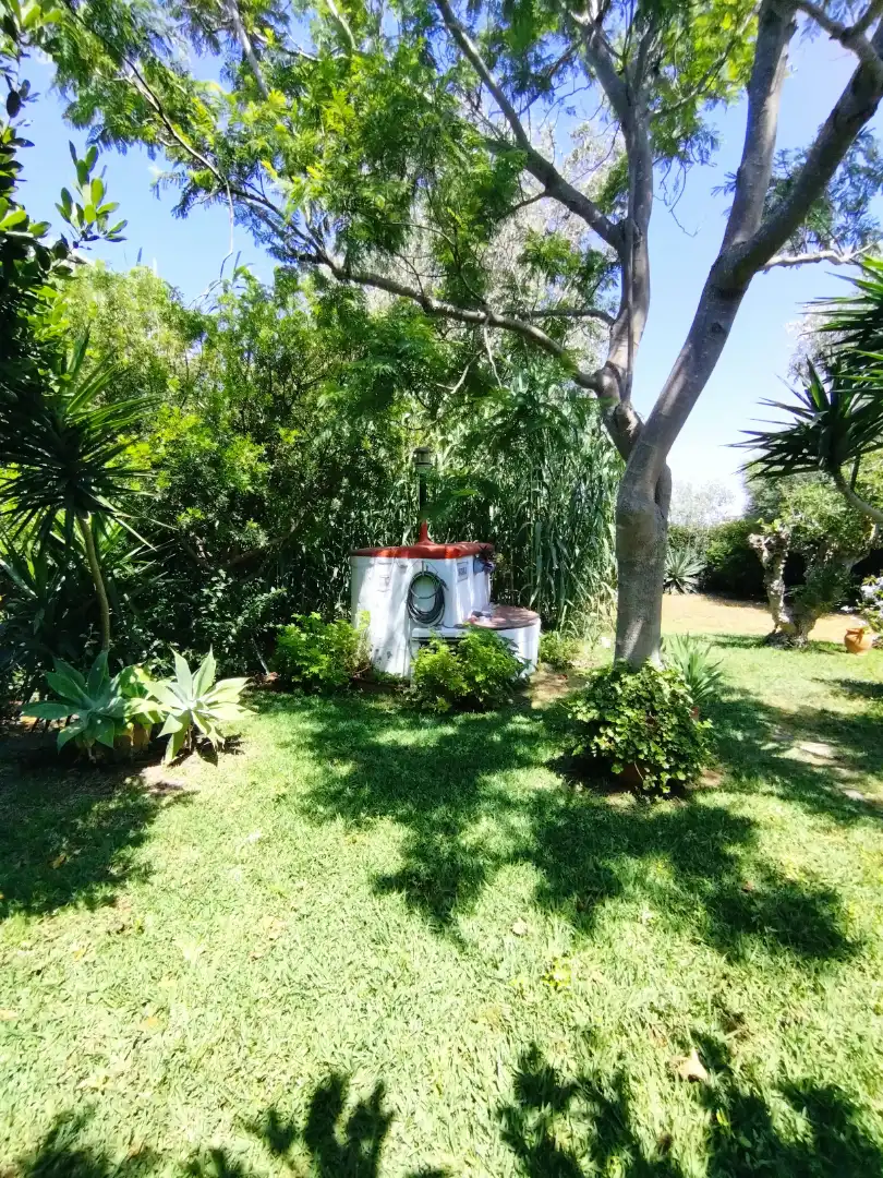 Jardí de Finca rústica en venda en Vejer de la Frontera amb Jardí privat, Terrassa i Moblat