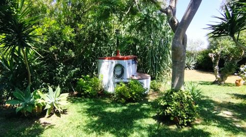Magnifica casa rustica en parcela segregada en el Palmar, immagine 2