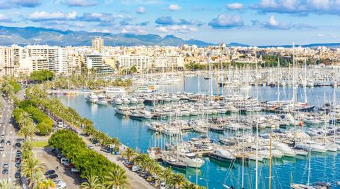 Photo 3 of Flat to rent in  Gabriel Roca, El Terreno,  Palma de Mallorca